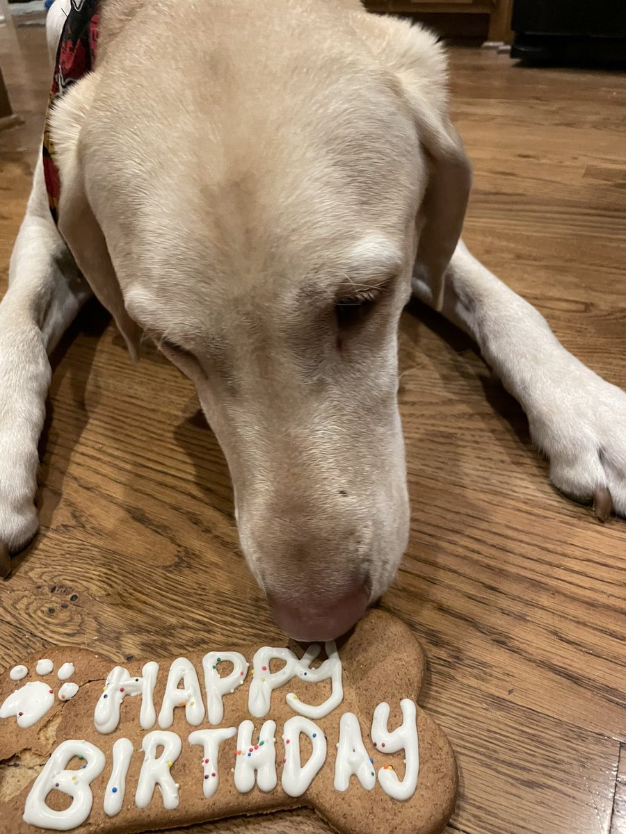 Megan Laws tweet media