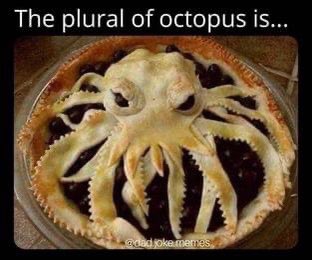 SlowhandKev's tweet photo. Cthulhu’s? https://t.co/RSXtEi1WZX