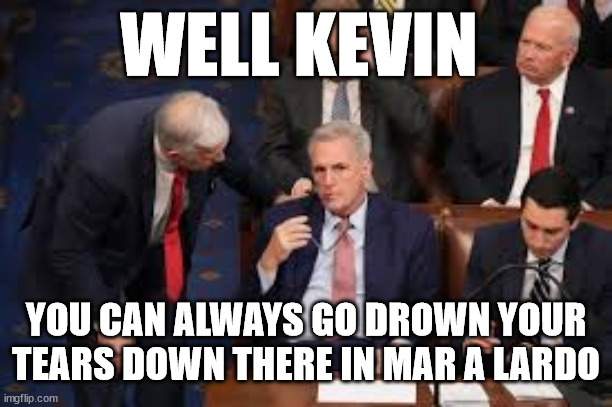 BellaMia614's tweet image. When you lose round 13 😂

 @GOPLeader #KevinMcCarthyIsALoser #RepublicanHouseClownShow