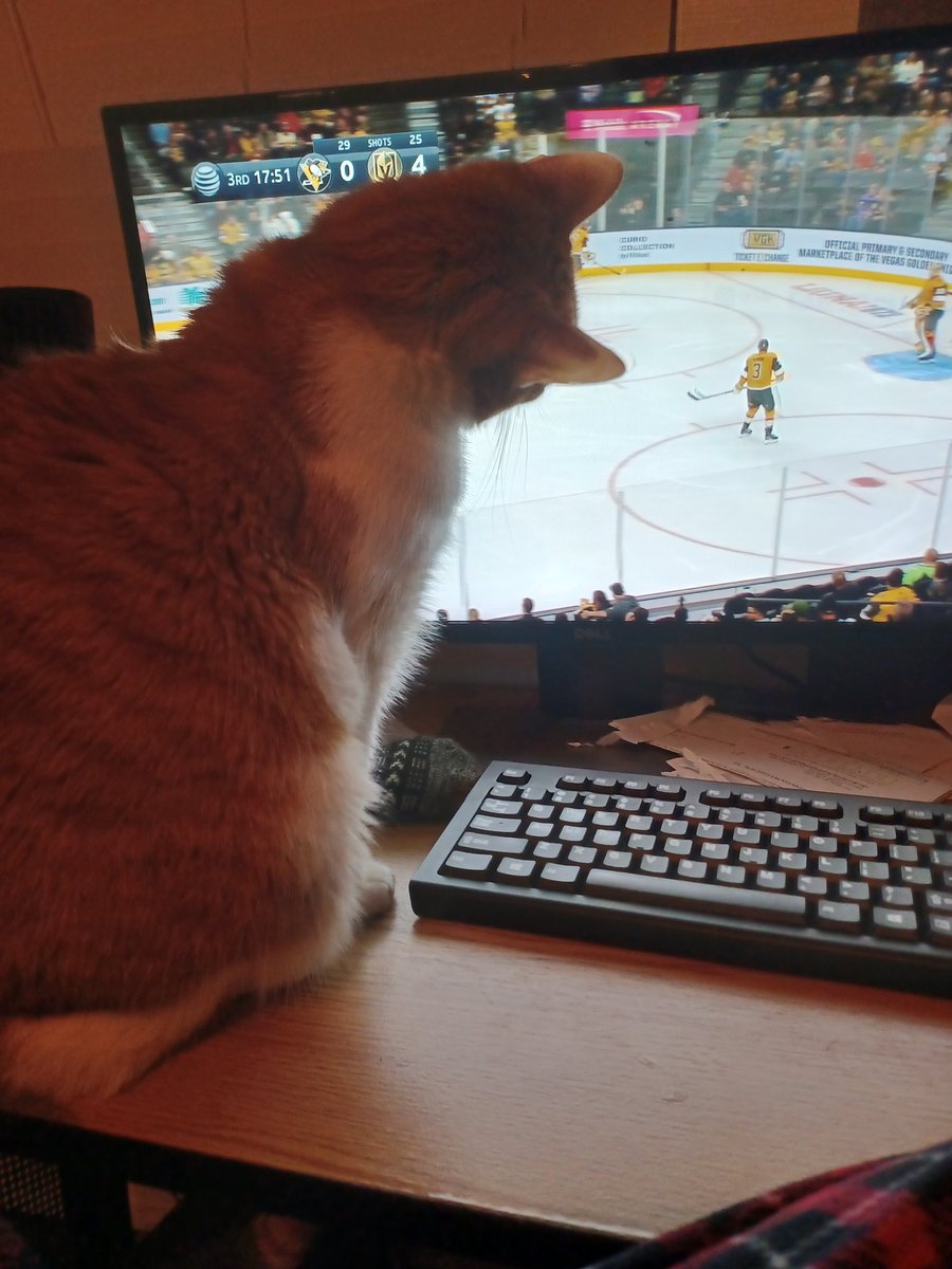 StuartLeigh18's tweet photo. @knowledge_fight Mine spent the night watching hocky https://t.co/CttX63ZmFl