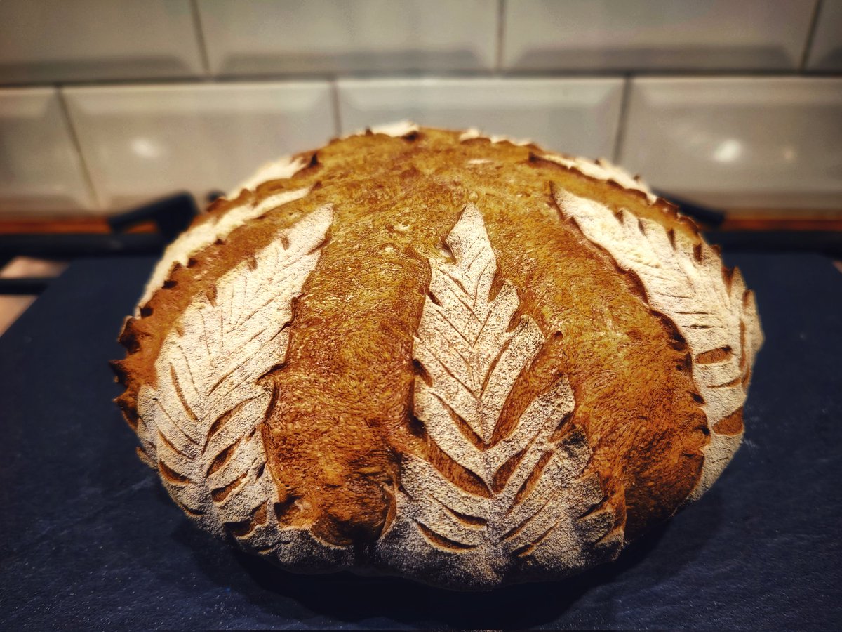 Today's sourdough score, fresh out of the oven. First score for 2023! 
#ShareYourLoaves #artisanbaker #artisanbread #bakeyourownbread #davebakesbread #bread #breadbaker #breadmaking #realbread #RealBreadCampaign #sourdough #scoringsourdough