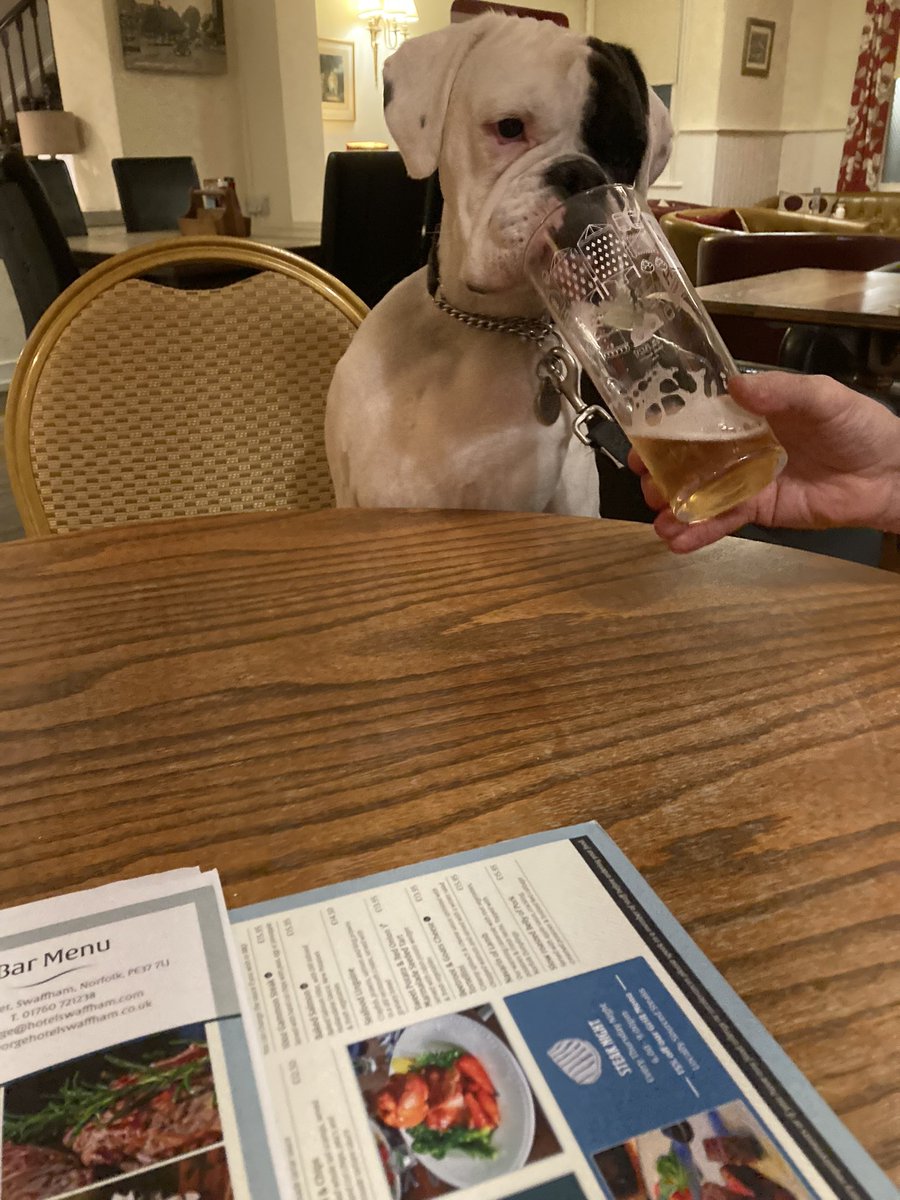 phoebe_brat's tweet photo. On hols again and this beer is going down a treat🤪🤣 https://t.co/GgOGiHU83E