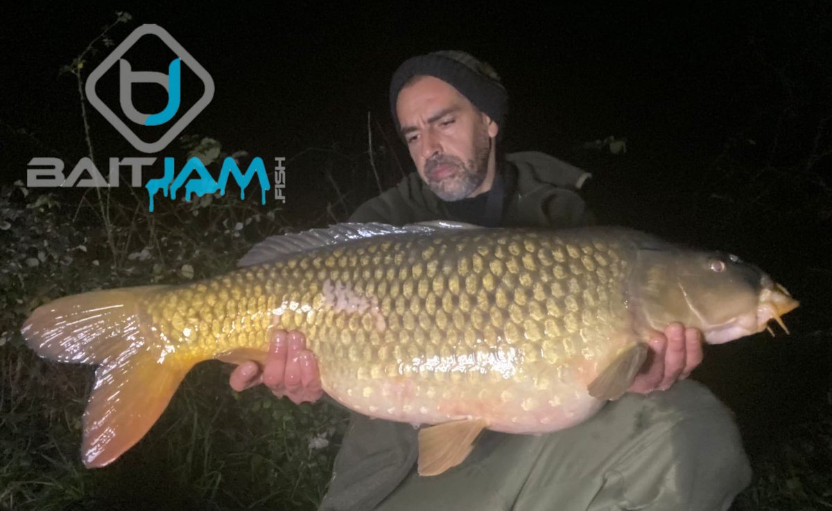 BaitJam's tweet photo. A 27lb 9oz common for Sal on his session to bring in the New Year, using our Krill Kritter range 🐟 
Shop the range at https://t.co/SDE0sqqEC3

#baitjam #teambaitjam #krillkritter #boilies #popups #wafters #carp #carpfishing #carpangling #fishing #angling https://t.co/qlpAqFKwpu