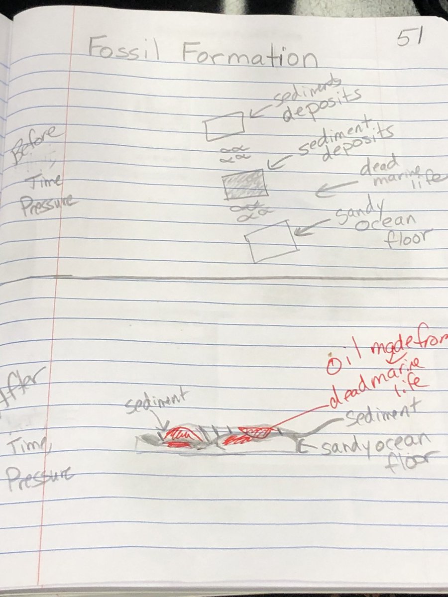 Olivia Monahan tweet media