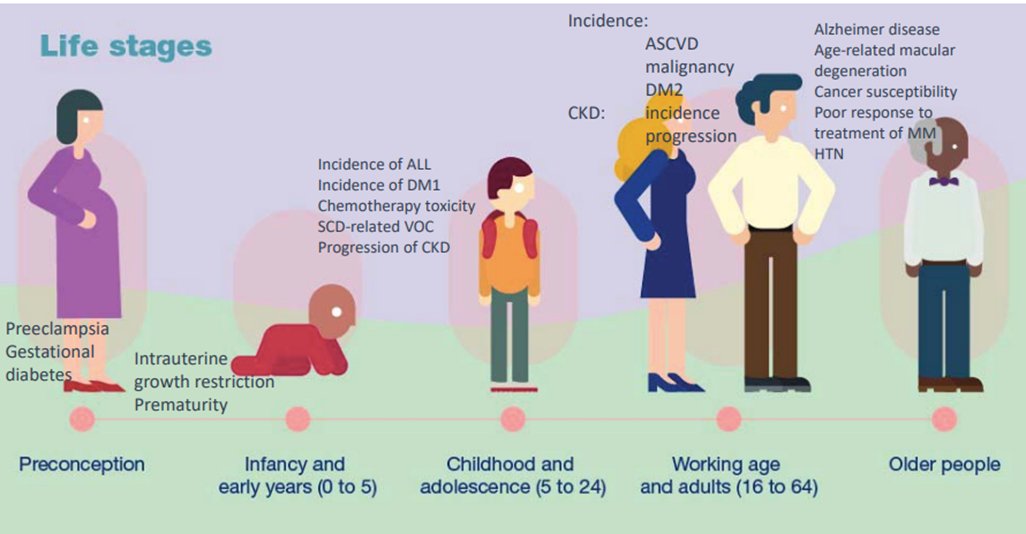 ASN Kidney360 (@asnkidney360) on Twitter photo 1/14 The #K360Tweetorial for our December issue highlights the Levy et al review on #GSTM1 in CKD across the lifespan bit.ly/KID0004552022wk
<a href="/rvlevy/">Becca Levy</a> <a href="/UrmcNephrology/">URMC Nephrology</a> 1/14 The #K360Tweetorial for our December issue highlights the Levy et al review on #GSTM1 in CKD across the lifespan bit.ly/KID0004552022wk
<a href="/rvlevy/">Becca Levy</a> <a href="/UrmcNephrology/">URMC Nephrology</a>