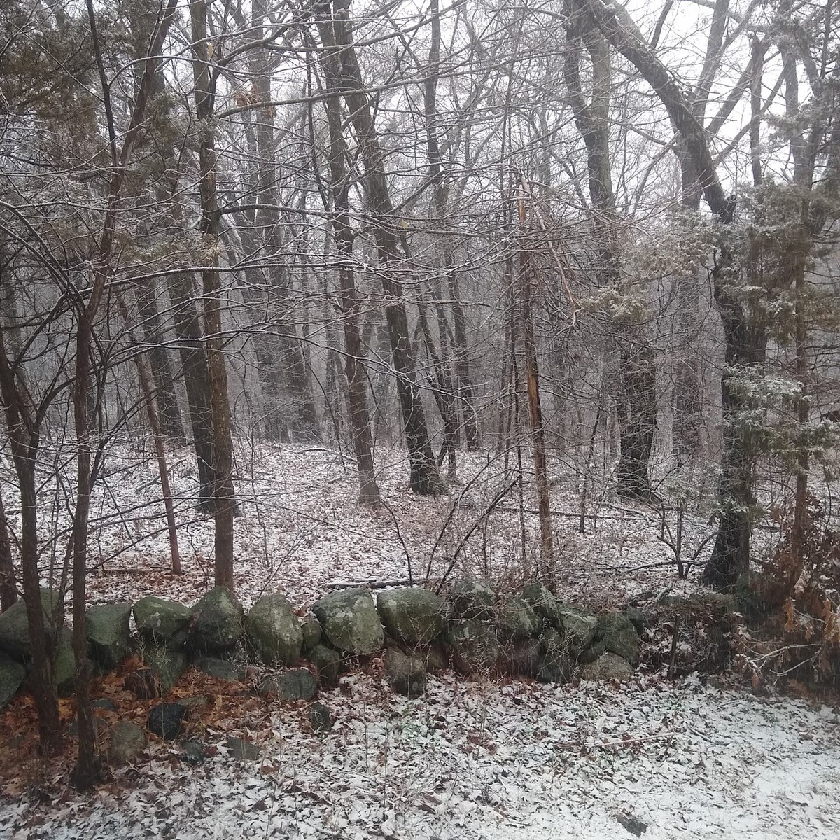Meanwhile, in New England,