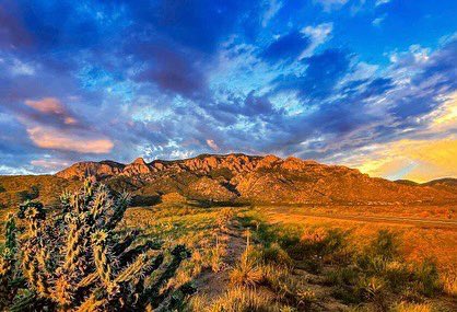 SenatorLujan tweet picture