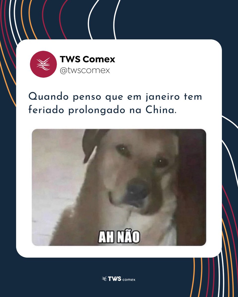 twscomex's tweet photo. Quando penso no feriado do Ano Novo Chinês. Escrevemos um pouco mais sobre o tema em nosso blog https://t.co/z7YF1TmpeX https://t.co/zs7QcIcT9u