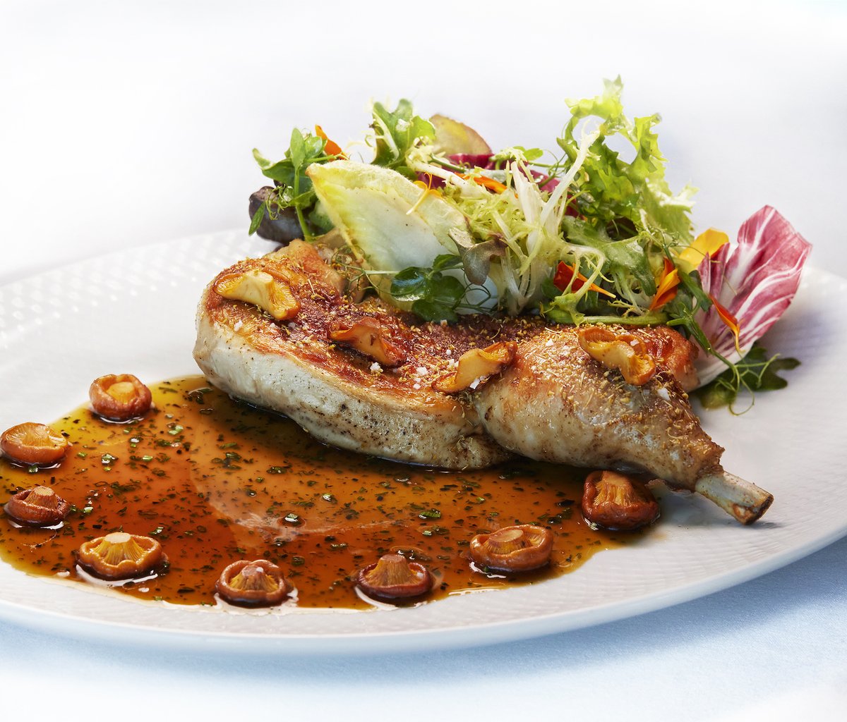 DavidYBishop's tweet photo. Make it special. A lovely Poulet Rôti from The Continental's Le Dimanche menu:, Chanterelles, Black Truffle Chicken Jus, Chicories https://t.co/RxV6BNWzPE.
.
.
.
#restaurants #chef #restaurant #hoteliers #hotelindustry #hotelmarketing #cruise #hospitality #cuisine #davidbishop https://t.co/qc4gNDINbn