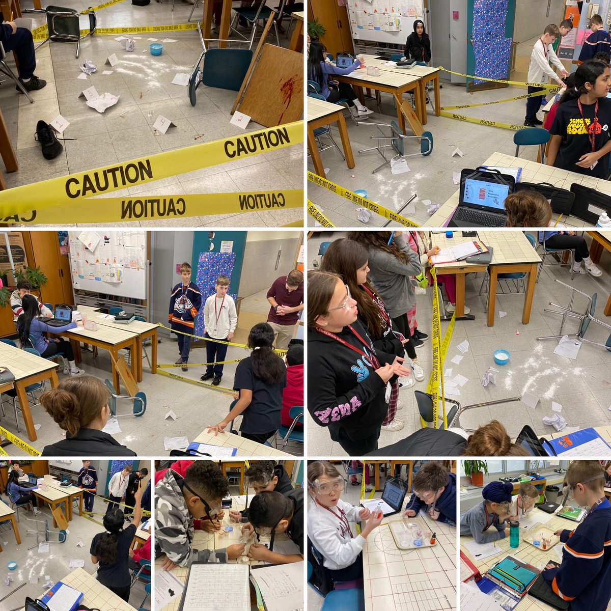 Maria Santodonato tweet media