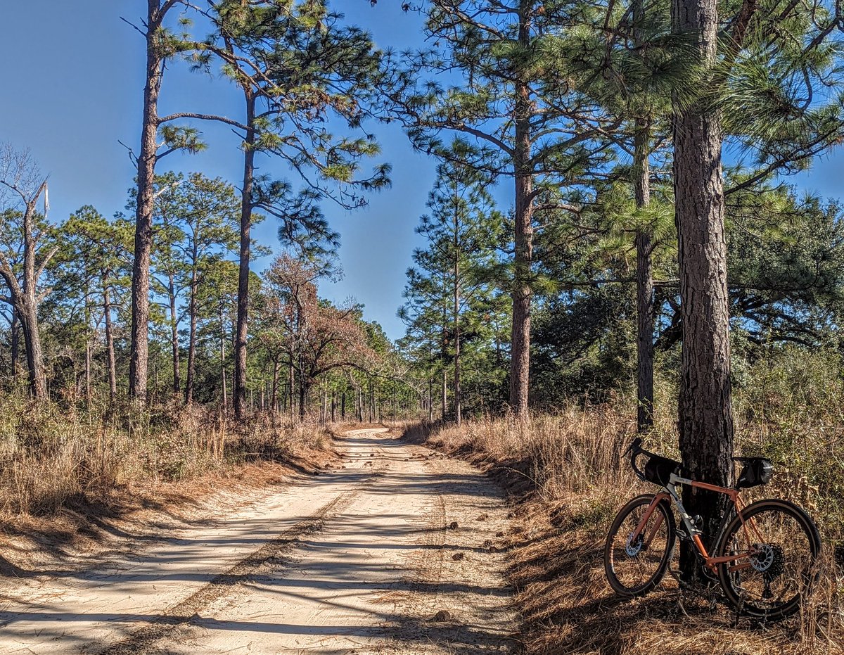 Bankclimber's tweet photo. Happy I've survived the first work week of 2023 the sun's shining heck yeah I'm going for an afternoon bike ride! @Rodeo_Labs #sandroads https://t.co/IwDCHmaPWL