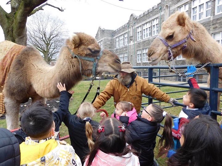 StMatthewPhila's tweet photo. Our school was stopping traffic this morning with quite a sight! The students celebrated the Feast of the Epiphany this morning with the Three Kings and some camels! All students received a piece of chalk to take home and chalk their doors to bless their house for the year. https://t.co/1LSkPbknZD