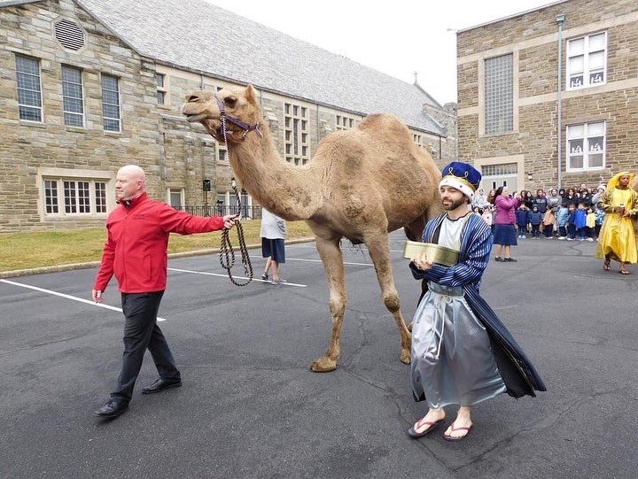 StMatthewPhila's tweet photo. Our school was stopping traffic this morning with quite a sight! The students celebrated the Feast of the Epiphany this morning with the Three Kings and some camels! All students received a piece of chalk to take home and chalk their doors to bless their house for the year. https://t.co/1LSkPbknZD