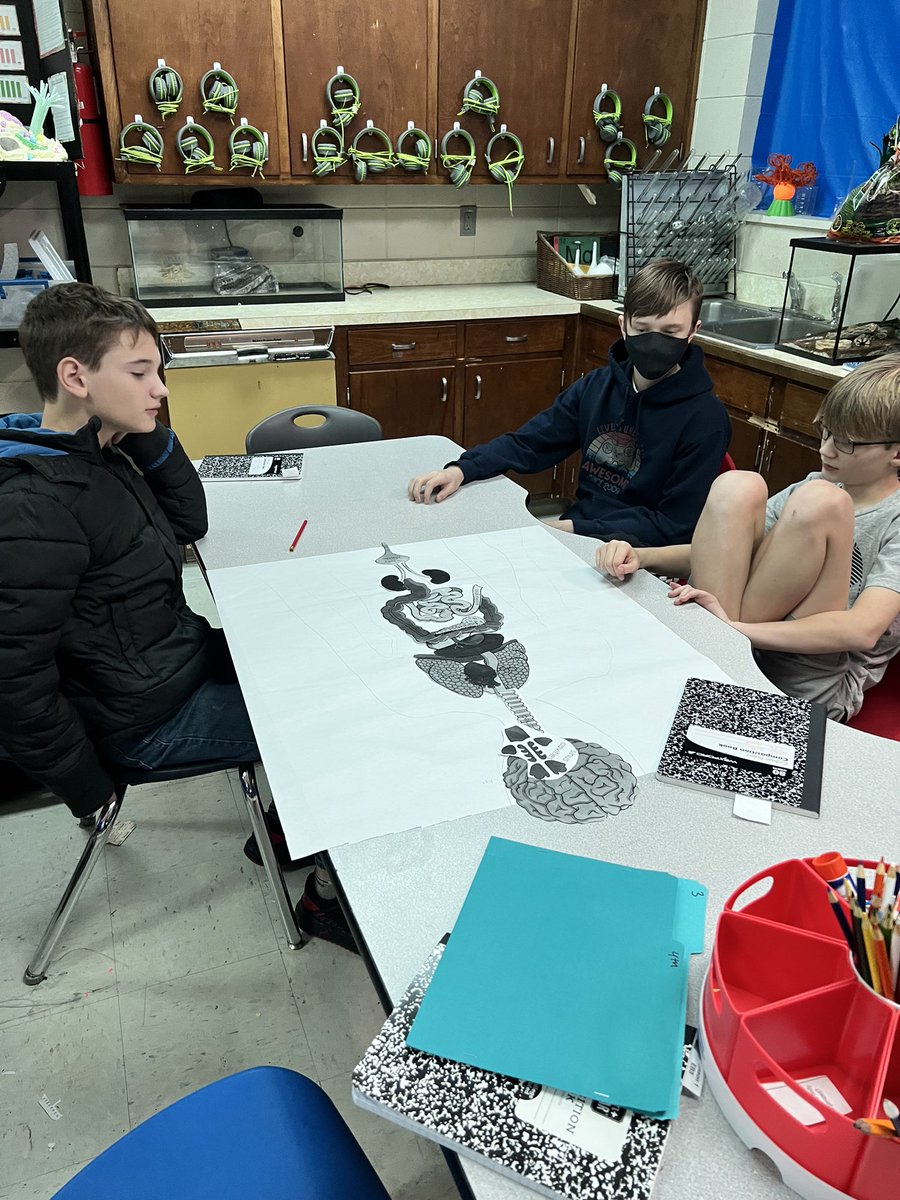 DARmiddle's tweet photo. Mrs. Guffey’s class draws the human organs https://t.co/2MgBaWyNRl