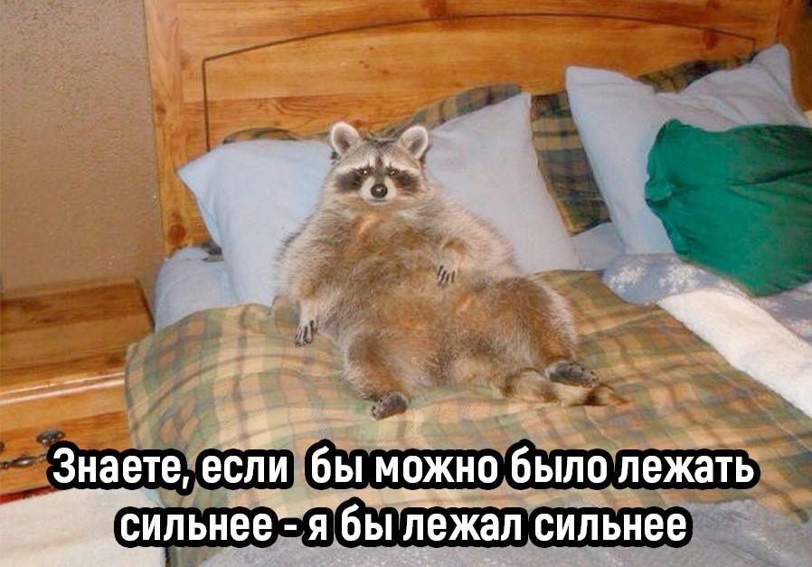 drunktwi's tweet photo. "Не могу дождаться новогодних каникул"
Я все дни с 1 по 8 января: https://t.co/butyXiVaw7