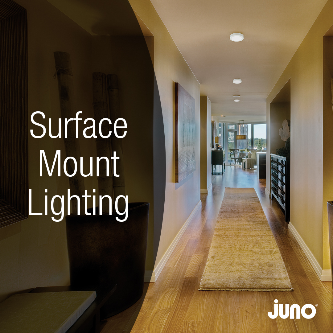 acuitybrandsgta's tweet image. Juno® LED Surface Mount Lighting offers optimal value for a variety of residential and light commercial applications.

@JunoLighting 

#SurfaceMount #DiskLight #Juno #JunoLighting #acuitybrands #acuitybrandscanada #acuitybrandstoronto #acuitybrandsgta