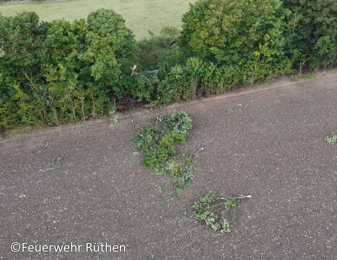 TorKUDde's tweet photo. 🟢 #Tornado in #Drewer:
Am 01.10.2022 zog ein Tornado durch die Orte Drewer und Altenrüthen in #NRW. Entlang der sehr schmalen und mindestens 3.5 Kilometer langen Schneise wurden zahlreiche Bäume und Haudächer beschädigt.
⬇️ Mehr zum Fall in der Analyse:
https://t.co/n0fajfZBtN https://t.co/ICusrghOKa
