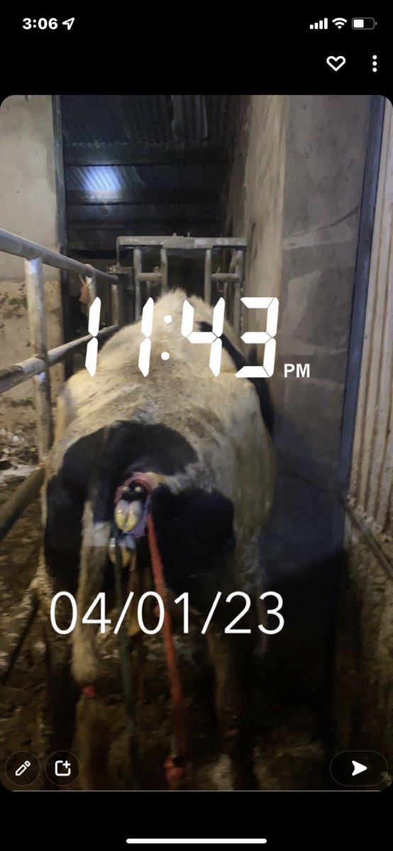 Thomas Reilly tweet media