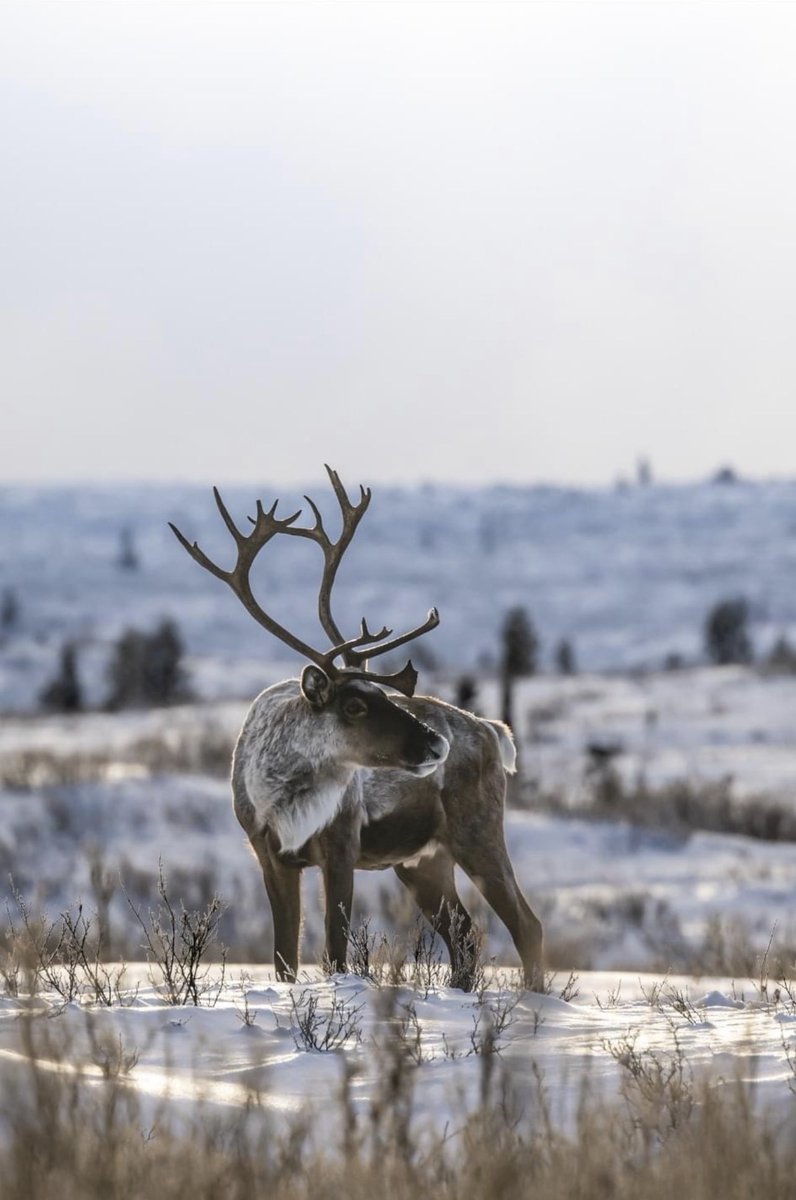 Mark Kelly Photography tweet media