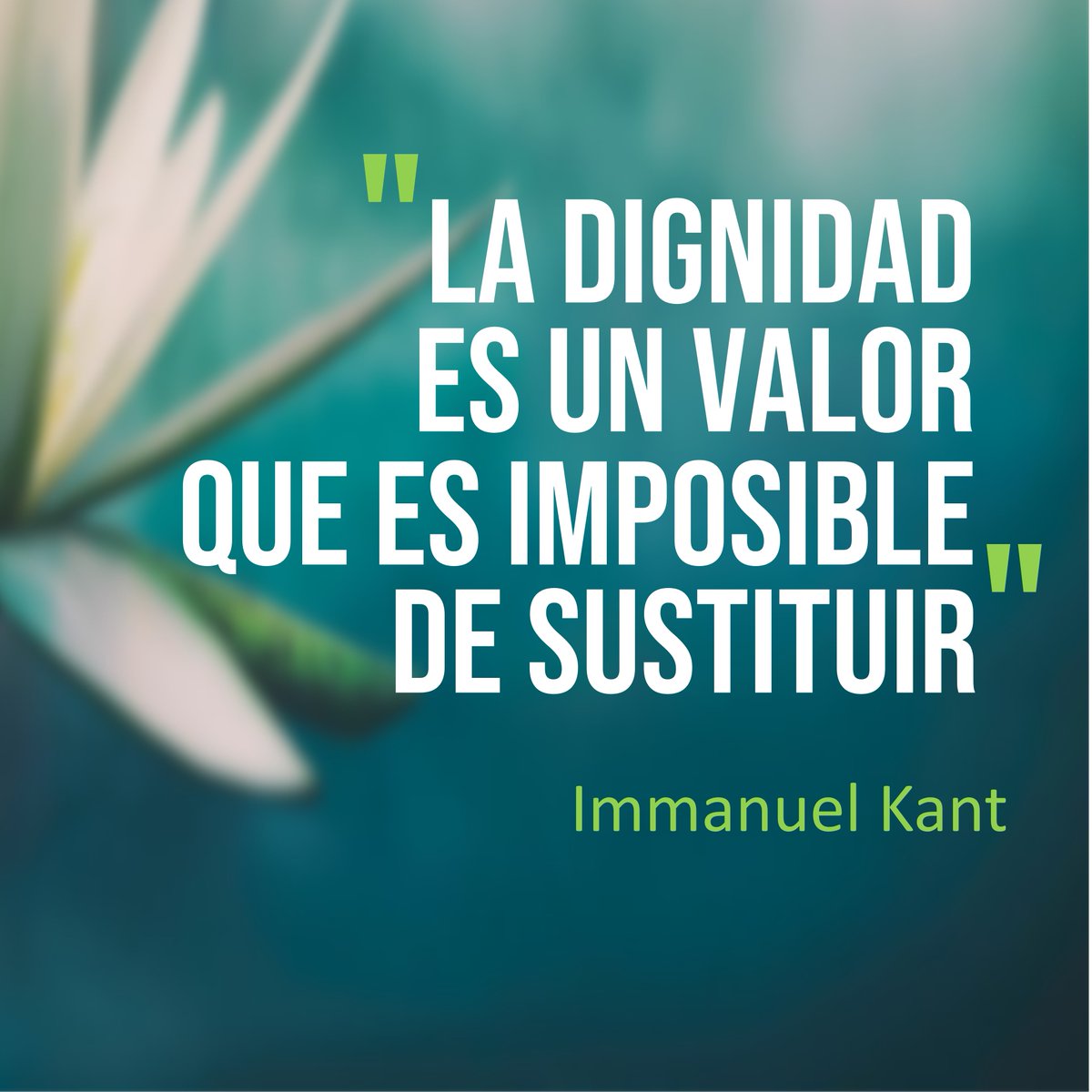 DrLopezRosetti's tweet photo. El valor de los valores. Es necesario hacer un autoanálisis con el objeto de clarificar nuestros propios valores, necesidades y deseos, de manera tal que actuemos en real concordancia con ellos. Esto permite un mejor manejo del estrés.
#domingodefrases #drdaniellopezrosetti https://t.co/CdRUSXT99p