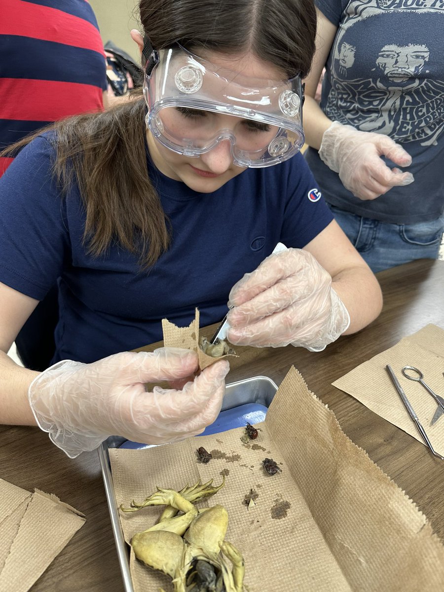 Frog dissection day!!!  My students having a great time at learning and dissecting!!!