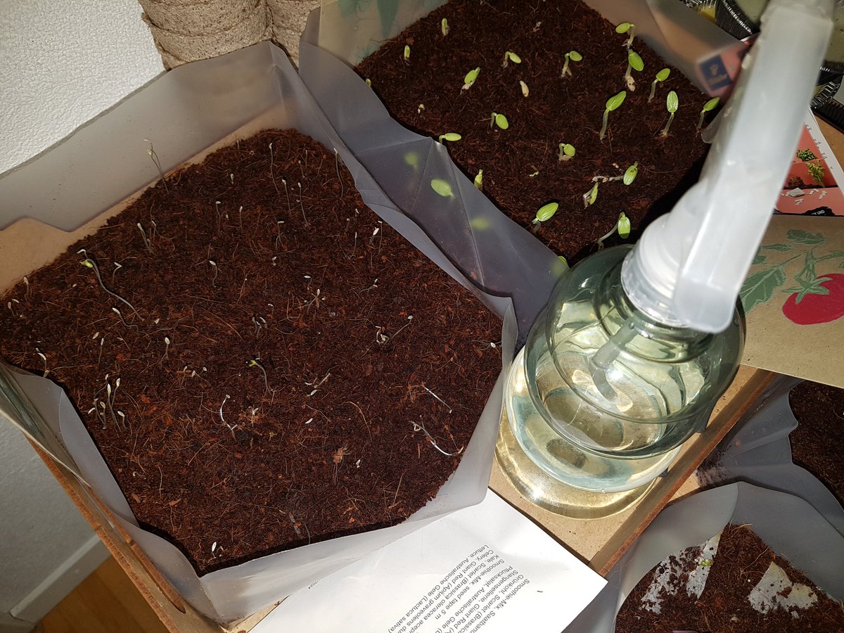 glad I planted these for some thematic inspiration for #LDJam 52!
