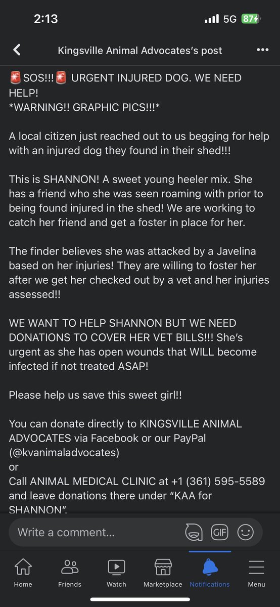 KAArescue's tweet photo. 🚨SOS!! URGENT INJURED DOG!! https://t.co/PG9IvqjS0E