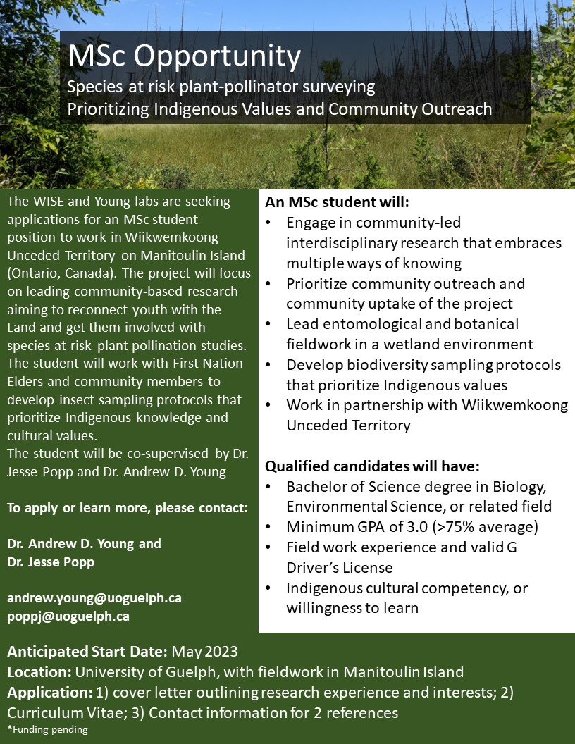 Wiikwemkoong Unceded Territory, the #WISElab @JessPopp, and the Young Lab are seeking applicants for a MSc position at @UofG_SES focused on species at risk plant-pollinator surveying that prioritizes Indigenous values and community outreach. Apply now! Please share.