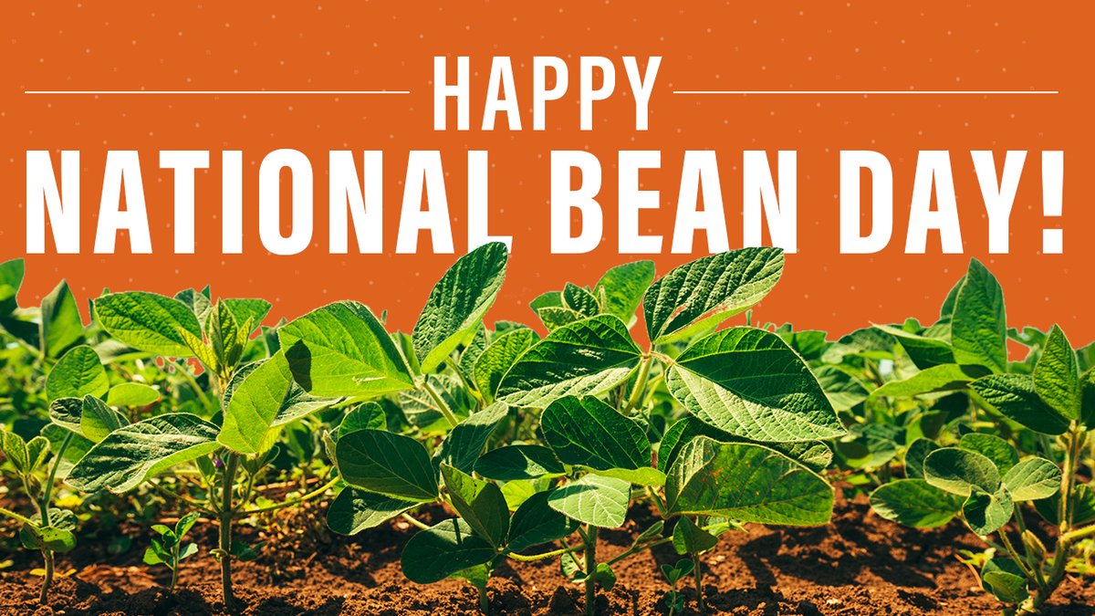 It’s the day to celebrate beans of all variety! We prefer the gold ones…what variety is your fav?