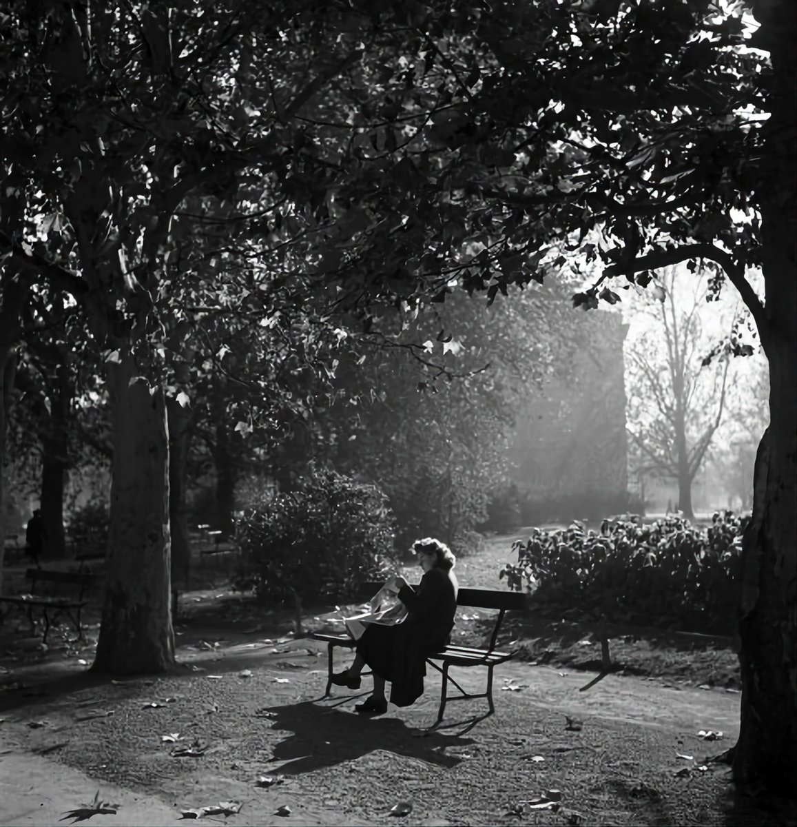 venezia_56's tweet photo. TOŠO DABAC 

Untitled https://t.co/11zNHeFFEk