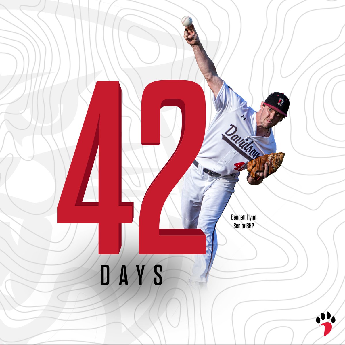 Davidson Baseball tweet media