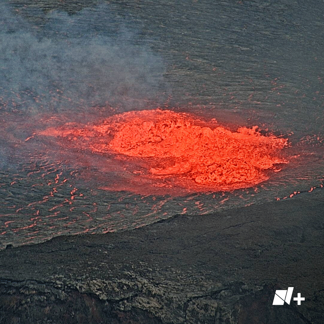 nmas's tweet photo. Uno de los mayores volcanes activos del mundo, el Kilauea, en Hawái, volvió a entrar en erupción tras un mes de calma. Fuentes de lava inundaron el cráter del coloso con rocas derretidas.
'La erupción actual no amenaza a las comunidades', informaron autoridades. https://t.co/kQfNYhA4iF