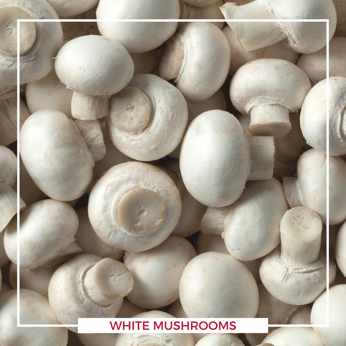 mushroomscanada's tweet photo. As Canada's most popular variety, white button mushrooms are widely available and super well-known.

Simple to prepare and versatile, white mushrooms are a hit both raw &amp; cooked. Enjoy them in soups, pasta, burgers, fajitas, pizza, salad and in any dish that calls for mushrooms! https://t.co/VAGDYk3Xmc