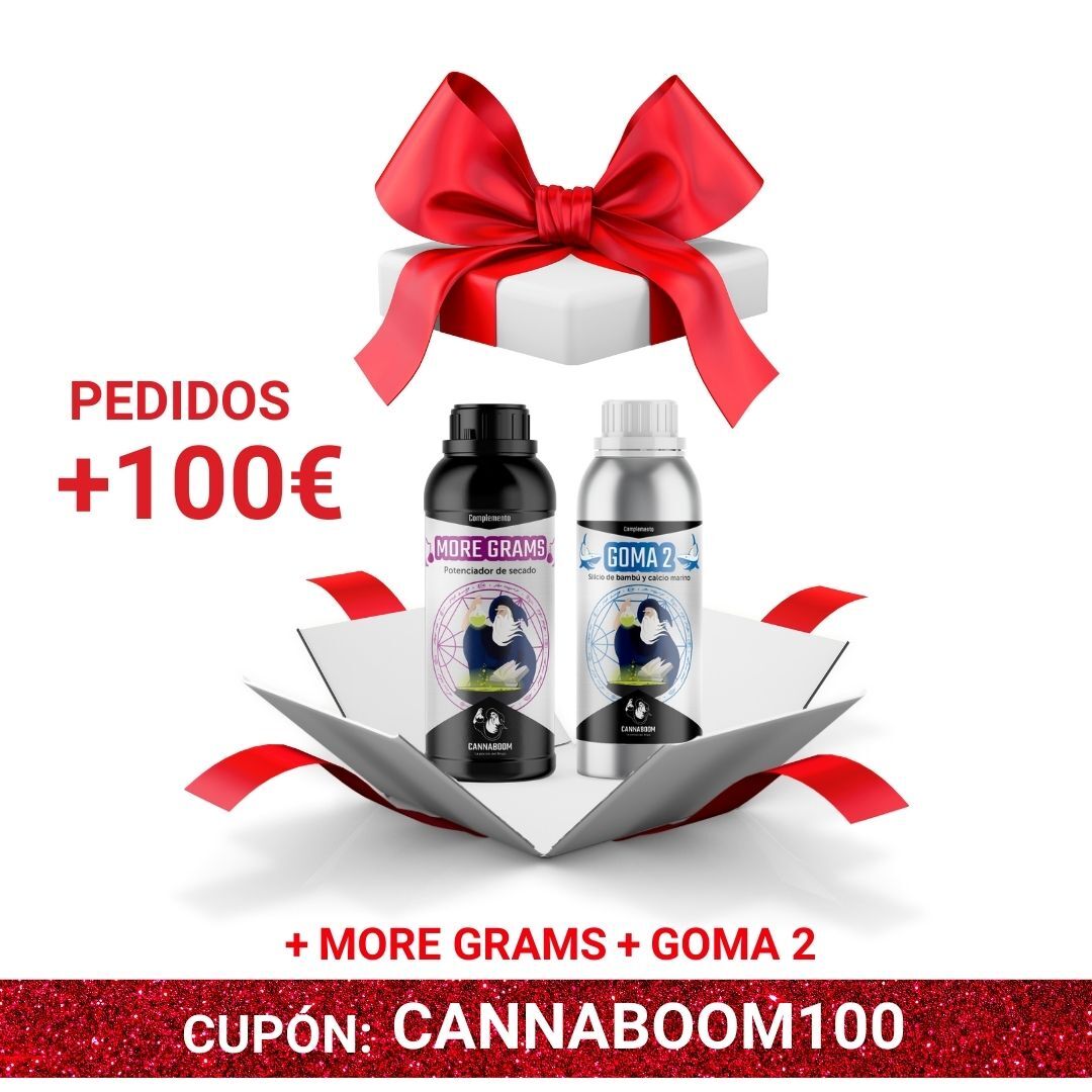 optigarden's tweet photo. 🐪 ¡Sabemos que has sido bueno y TENEMOS más REGALOS! 🎁
👉 Cupón: CANNABOOM200
😎Con pedidos superiores a 200€
💥 ¡REGALOS Valorado en 92€!

AQUÍ: https://t.co/lFLc0LozR8

#growshop #benidorm #finestrat #lanucia #villajoyosa #alfazdelpi #alicante #tiendaonline #optigarden https://t.co/SWsHRTere3