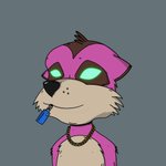 Photo by Meerkat Sales Bot (@mmccbot)