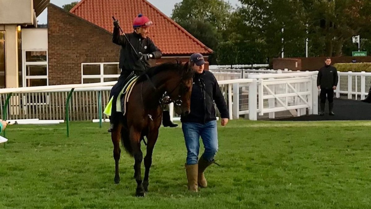 "We haven’t yet reached the crest of Dubawi’s wave as a sire of sires, so to stand a Group 1-performing son of his is very exciting."

Micheal Orlandi is relishing Dewhurst runner-up Dubawi Legend joining his Compas Stallions venture at Starfield Stud 👉  bit.ly/3GIHTu7