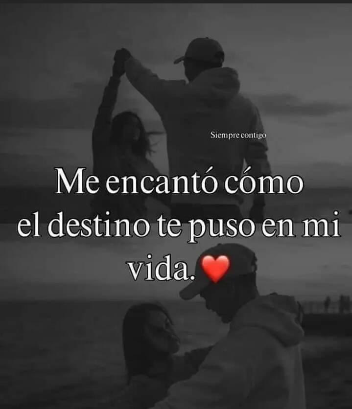 sangreechinche's tweet photo. #CuriosoPeroMuyInteresante
#AlgoDistinto https://t.co/NL3zbYXjDL