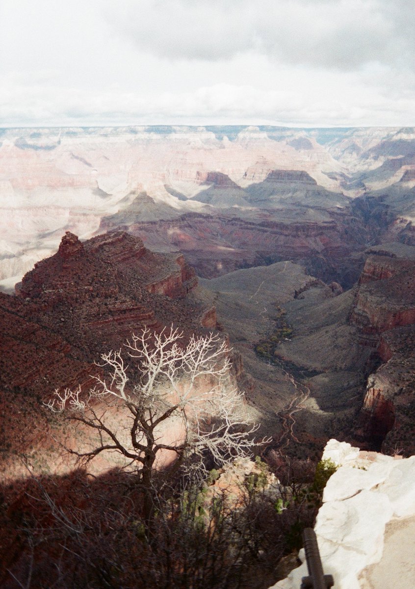 「also got some grand canyon photos  」|jackieのイラスト