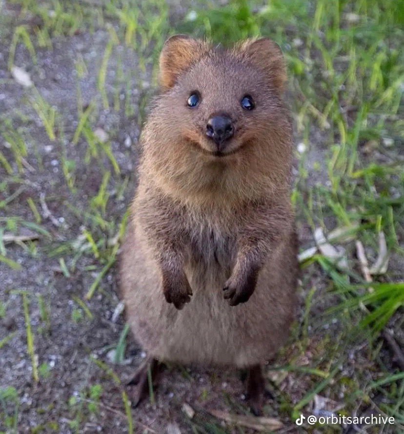 livvy ¹⁸ tweet media