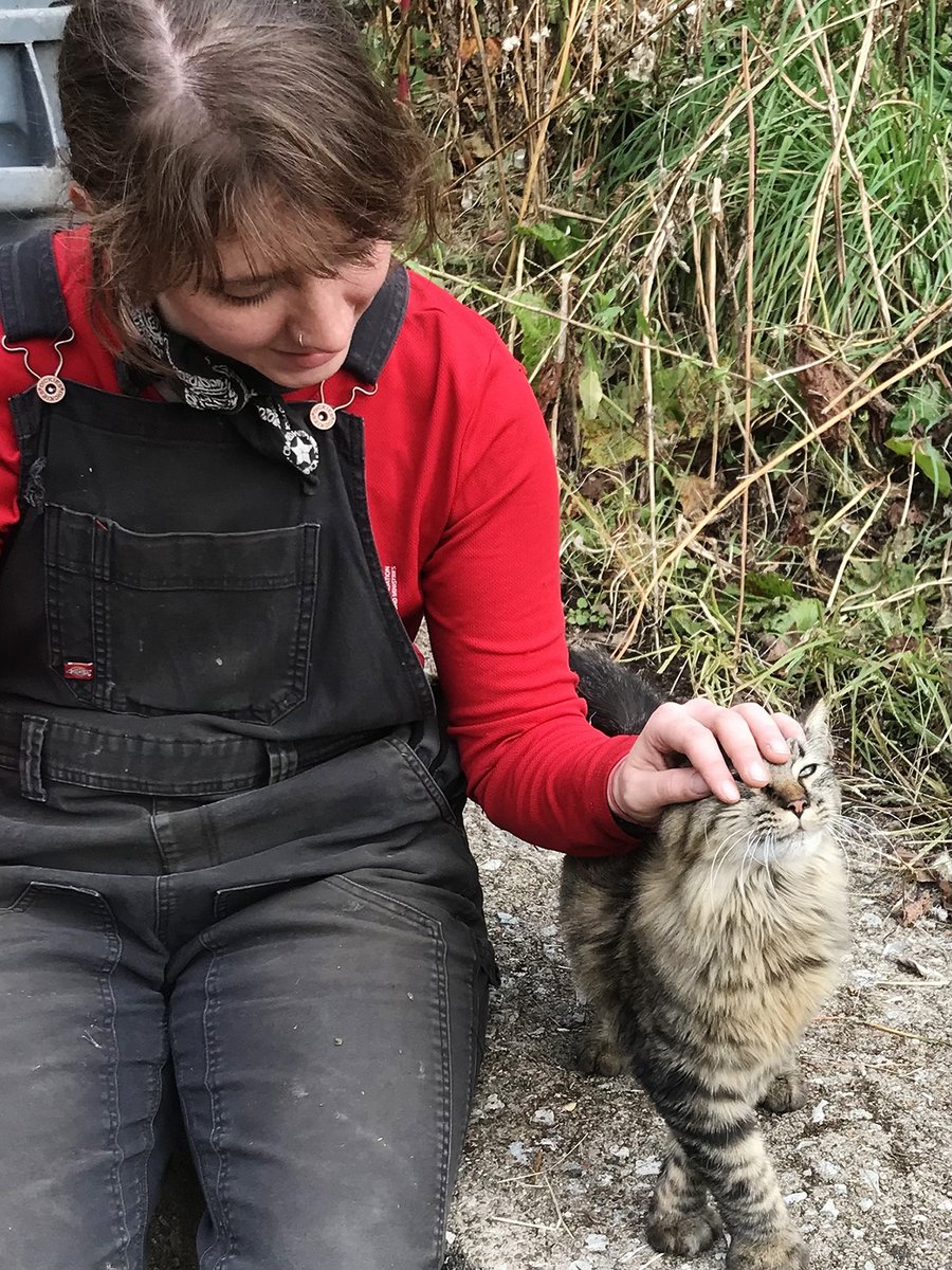 AlleghenyCW's tweet photo. It's Caturday!
Our Bridge/Stair/Walkway cleanups are always more fun when the furry neighbors show up.
Volunteer now for one on Jan. 8th (East Hills) or 9th (Spring Hill) https://t.co/URvKGTfJZ1
#AlleghenyCleanWays #PittsburghSteps #Cleanups #EastHills #SpringHill https://t.co/2ueaAlzL40