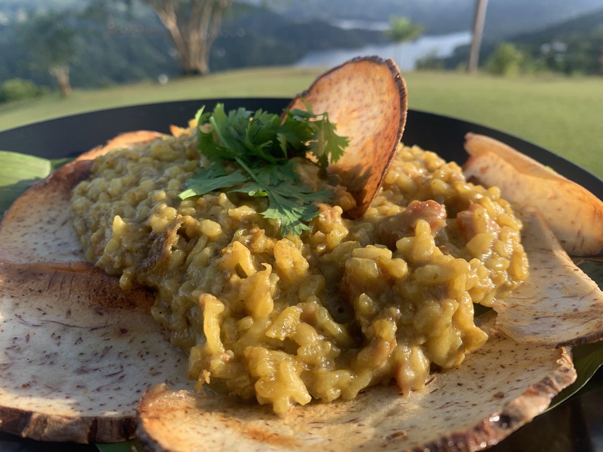 FincaViernes's tweet photo. Feliz día de Reyes

“Risotto de gandules y longaniza sobre chips de malanga”

@FincaViernes https://t.co/M0VKCFL2v4