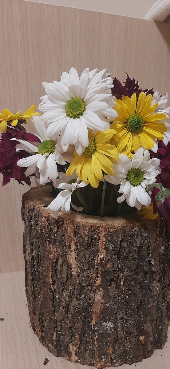 Ben odunum mu demek istedin tam olarak ?