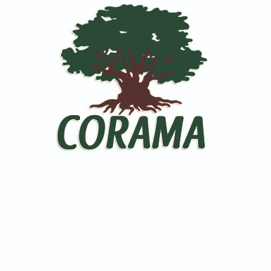 corama2012 tweet picture