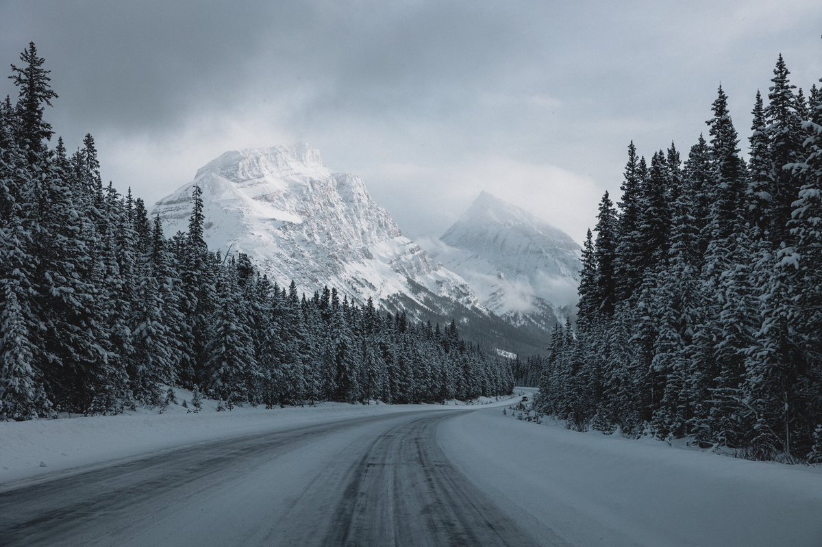 Shooting photos while driving is an extreme sport