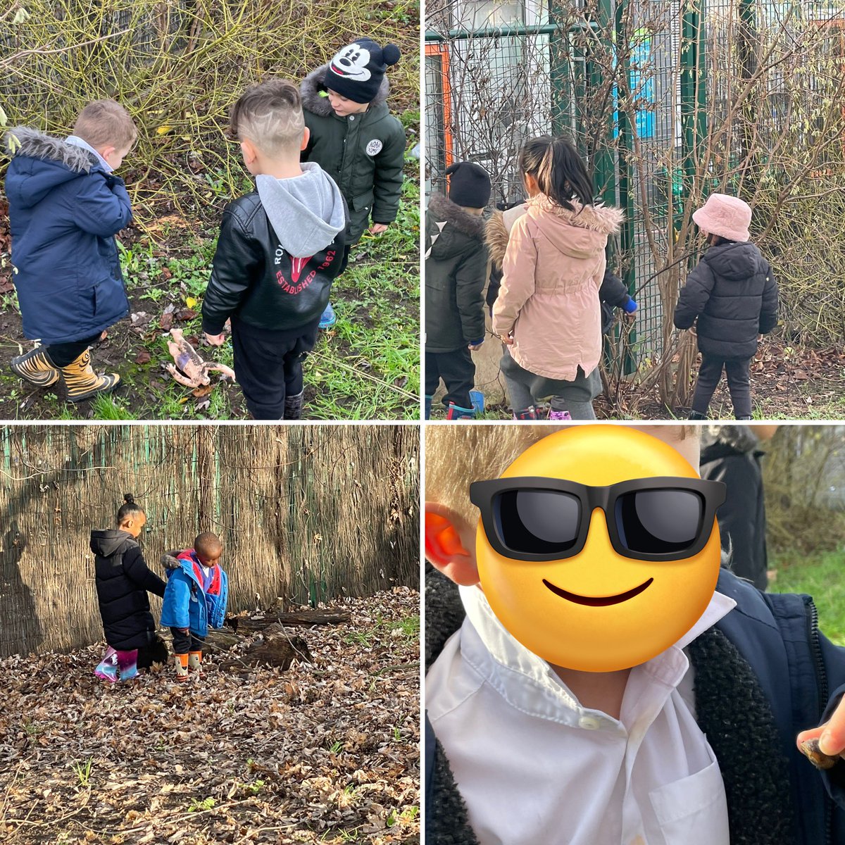 Foxfield EYFS Chestnut tweet media