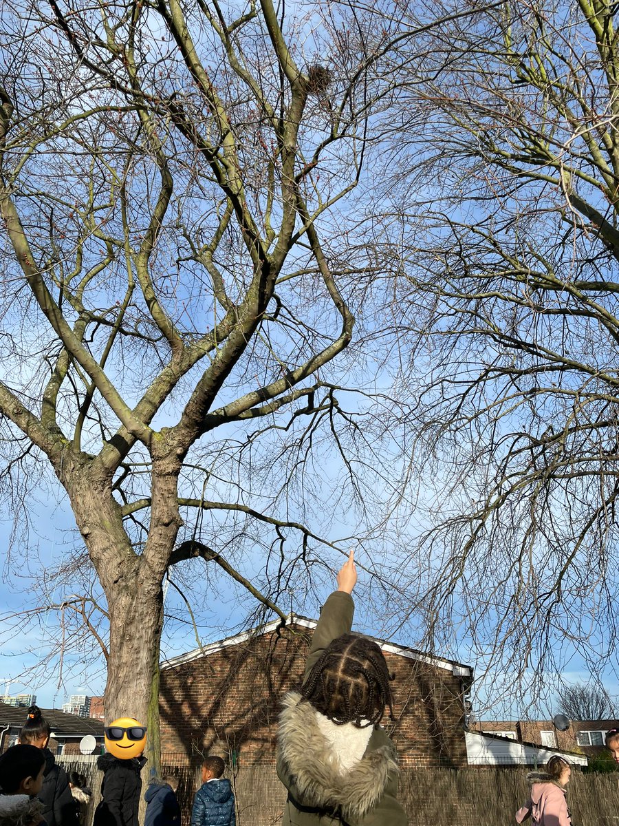 Foxfield EYFS Chestnut tweet media