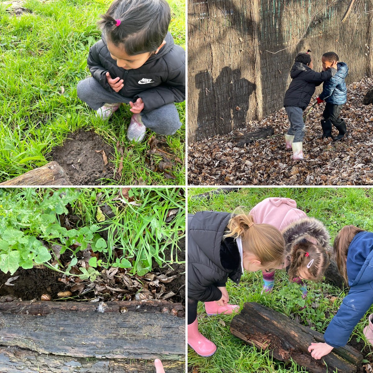 Foxfield EYFS Chestnut tweet media