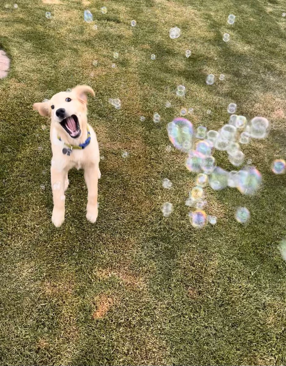 Julie Ahonen tweet media