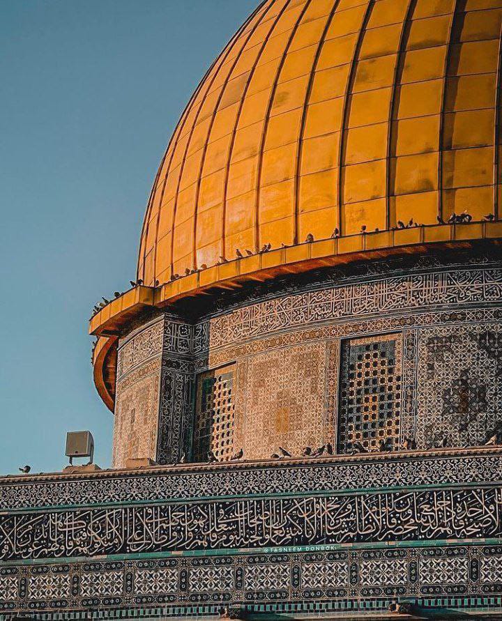 samoblue97's tweet photo. Oh my only dream!!😔
When will I visit you?.. When will I pray in the Dome Of the Rock Mosque?
🇵🇸🇵🇸 https://t.co/9T3sKw5HOL
