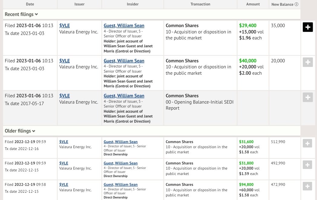 AfzalValli's tweet image. #VLU $VLE 

Directors buying even after a 400% rise - Still undervalued at $2.20 CAD with a broker rating of $8.25 CAD

Production 25k bopd target with $30m per month cash flow 

MCAP ONLY $150m CAD